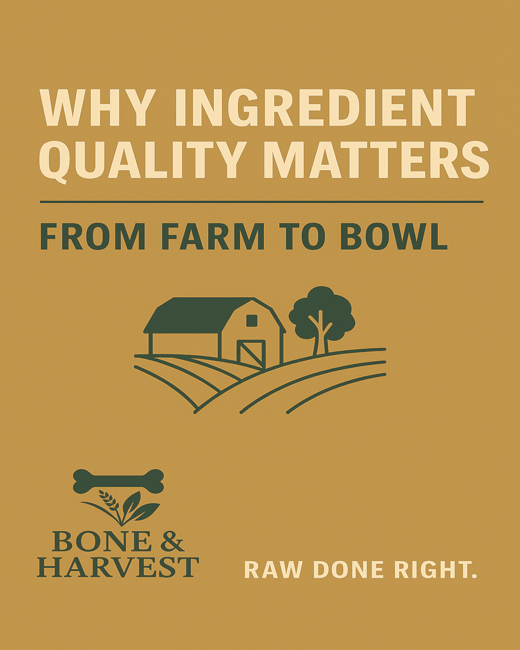 Why Ingredient Quality Matters: From Farm to Bowl