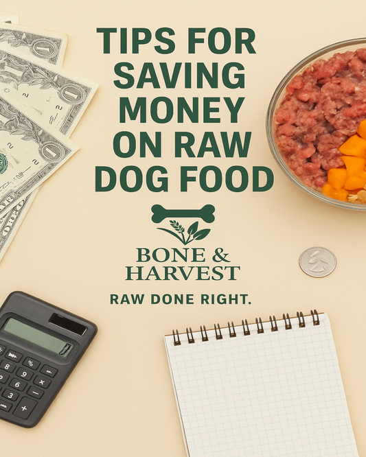 Budget-Friendly Raw Feeding: How to Save Money Without Compromising Quality