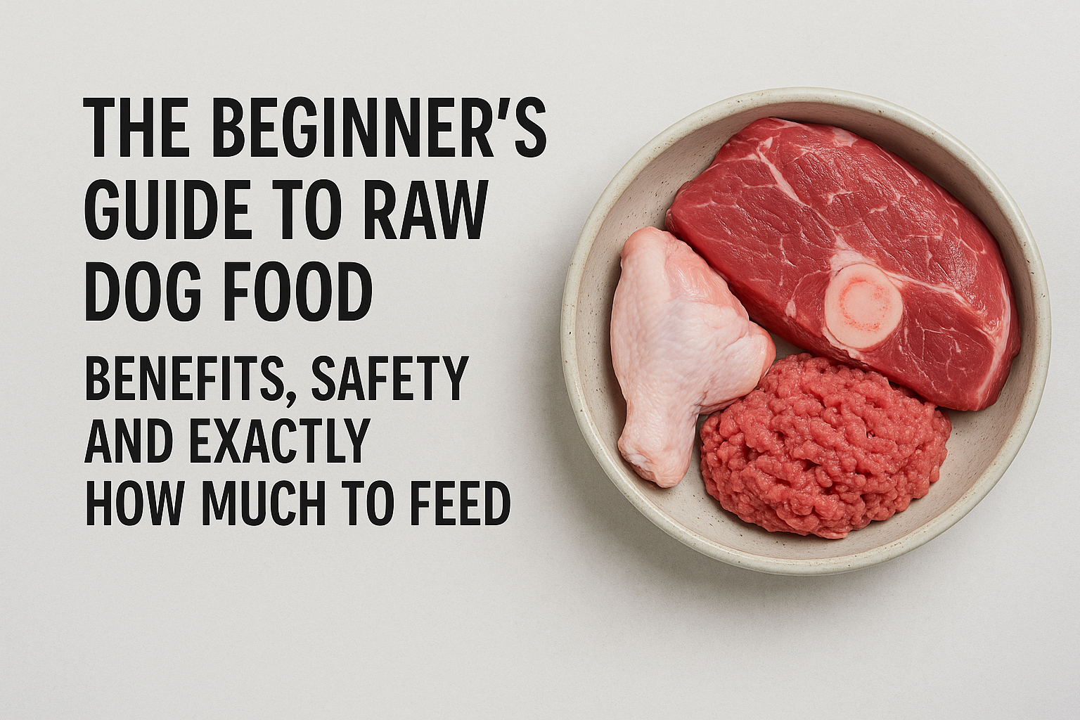 The Beginner’s Guide to Raw Dog Food: Benefits, Safety, and Exactly How Much to Feed