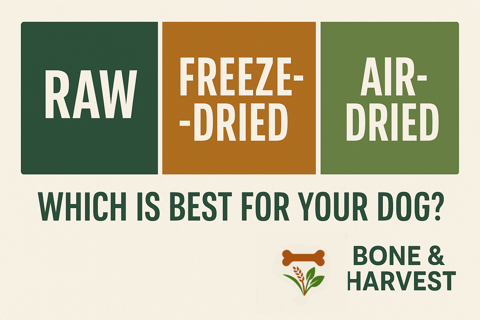 Raw vs. Freeze-Dried vs. Air-Dried Dog Food: Which Is Best?