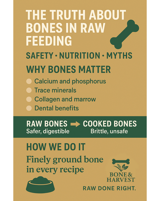 The Truth About Bones in Raw Feeding: Safety, Nutrition, and Myths