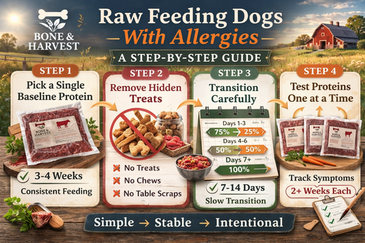 Raw Feeding Dogs With Allergies