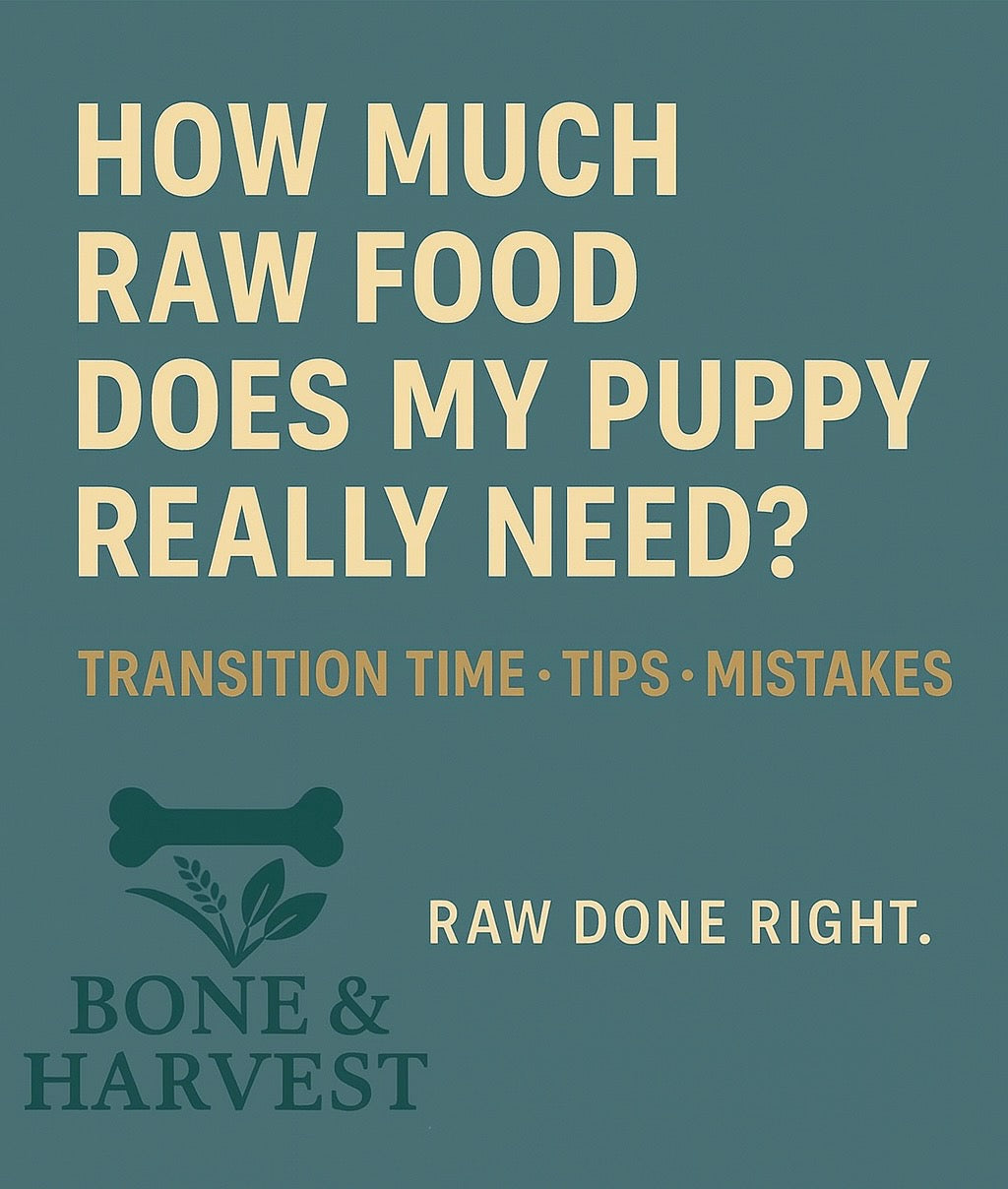 How Much Raw Food Does My Puppy Really Need?