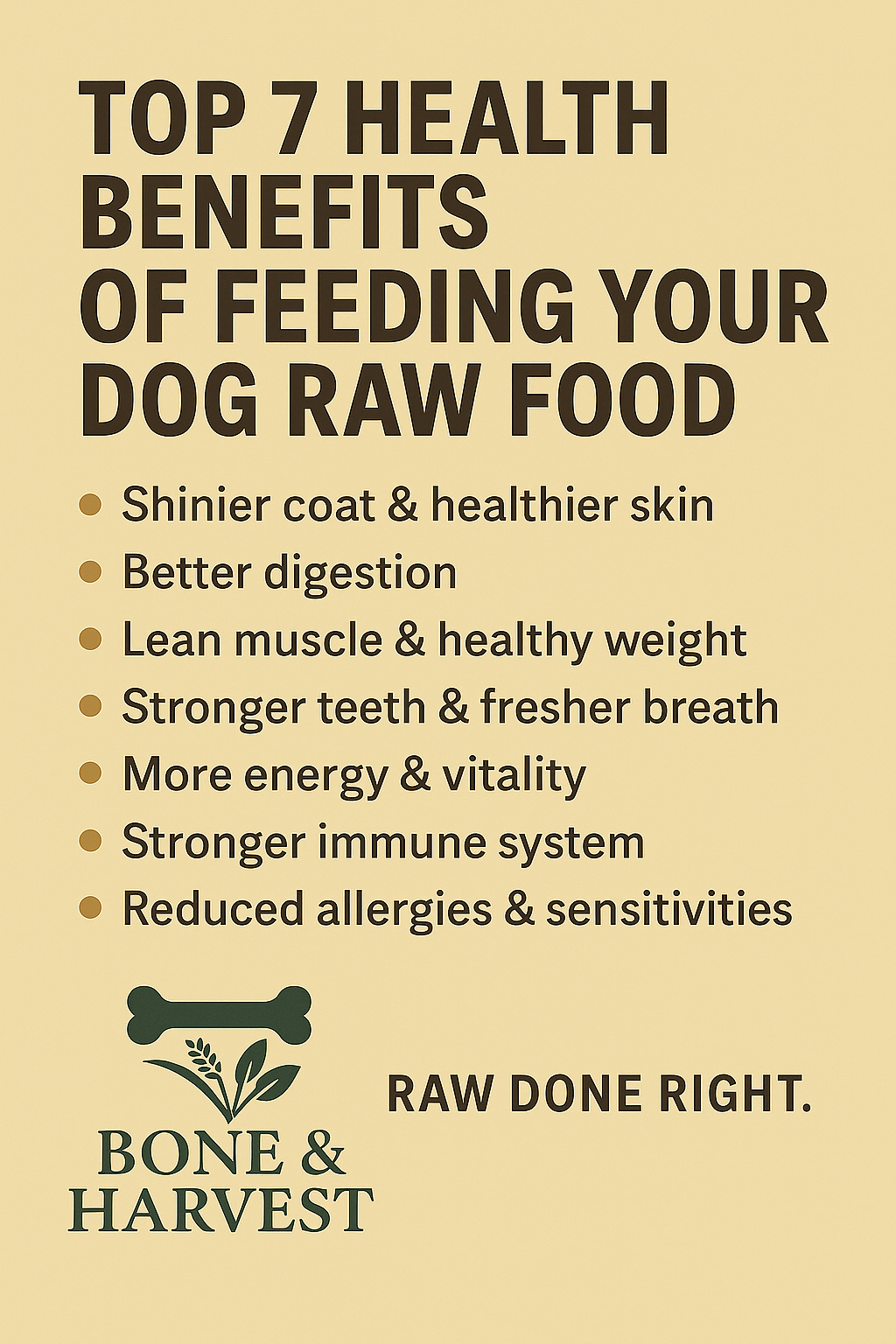 Top 7 Health Benefits of Feeding Your Dog Raw Food