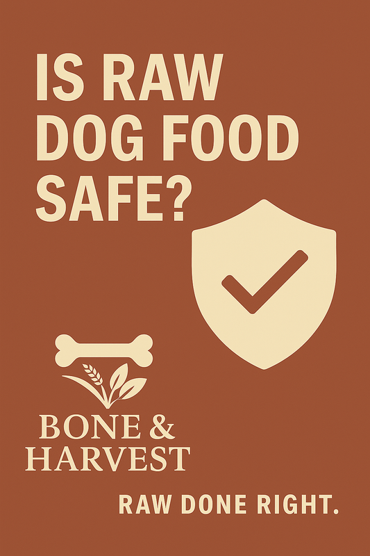 Is Raw Dog Food Safe? What Every Pet Parent Needs to Know